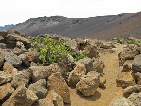 Canary Islands